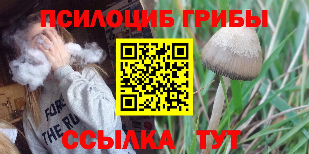 Псилоцибиновые грибы MAGIC MUSHROOMS  Вход с VPN  Галлюциногенные грибы Psilocybine cubensis  Моздок 